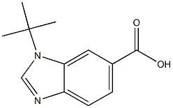 1-TERT-BUTYL-1H-BENZIMIDAZOLE-6-CARBOXYLIC ACID Struktur