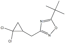 5-(tert-butyl)-3-[(2,2-dichlorocyclopropyl)methyl]-1,2,4-oxadiazole Struktur