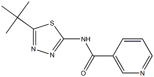 N-[5-(tert-butyl)-1,3,4-thiadiazol-2-yl]nicotinamide Struktur