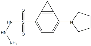 N1-hydrazino(tetrahydro-1H-pyrrol-1-yl)methylidenebenzene-1-sulfonamide Struktur