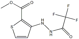 methyl 3-[2-(2,2,2-trifluoroacetyl)hydrazino]thiophene-2-carboxylate Struktur