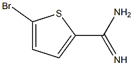 5-bromothiophene-2-carboxamidine Struktur