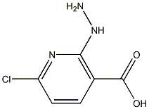 6-chloro-2-hydrazinylnicotinic acid Struktur