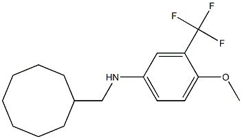 N-(cyclooctylmethyl)-3-(trifluoromethyl)-4-methoxybenzenamine Struktur