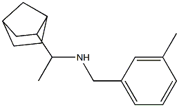 (1-{bicyclo[2.2.1]heptan-2-yl}ethyl)[(3-methylphenyl)methyl]amine Struktur