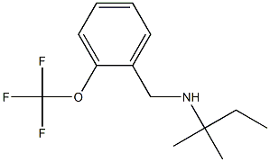 (2-methylbutan-2-yl)({[2-(trifluoromethoxy)phenyl]methyl})amine Struktur