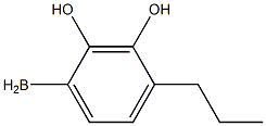 (4-propylphenyl)boranediol Struktur