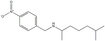 (6-methylheptan-2-yl)[(4-nitrophenyl)methyl]amine Struktur