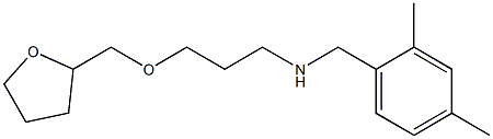 [(2,4-dimethylphenyl)methyl][3-(oxolan-2-ylmethoxy)propyl]amine Struktur