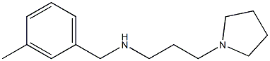 [(3-methylphenyl)methyl][3-(pyrrolidin-1-yl)propyl]amine Struktur