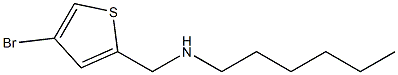 [(4-bromothiophen-2-yl)methyl](hexyl)amine Struktur