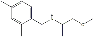 [1-(2,4-dimethylphenyl)ethyl](1-methoxypropan-2-yl)amine Struktur