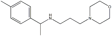 [1-(4-methylphenyl)ethyl][3-(morpholin-4-yl)propyl]amine Struktur