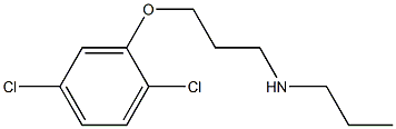 [3-(2,5-dichlorophenoxy)propyl](propyl)amine Struktur