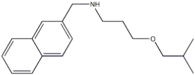 [3-(2-methylpropoxy)propyl](naphthalen-2-ylmethyl)amine Struktur