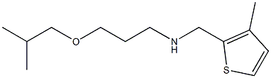 [3-(2-methylpropoxy)propyl][(3-methylthiophen-2-yl)methyl]amine Struktur