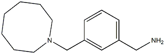 [3-(azocan-1-ylmethyl)phenyl]methanamine Struktur