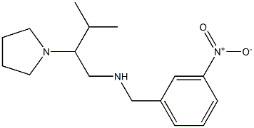 [3-methyl-2-(pyrrolidin-1-yl)butyl][(3-nitrophenyl)methyl]amine Struktur