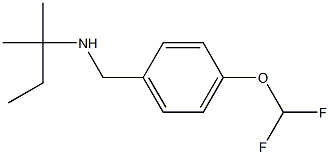 {[4-(difluoromethoxy)phenyl]methyl}(2-methylbutan-2-yl)amine Struktur