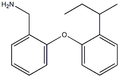 {2-[2-(butan-2-yl)phenoxy]phenyl}methanamine Struktur