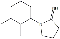 1-(2,3-dimethylcyclohexyl)pyrrolidin-2-imine Struktur