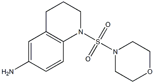 1-(morpholine-4-sulfonyl)-1,2,3,4-tetrahydroquinolin-6-amine Struktur