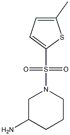 1-[(5-methylthiophene-2-)sulfonyl]piperidin-3-amine Struktur