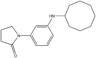 1-[3-(cyclooctylamino)phenyl]pyrrolidin-2-one Struktur