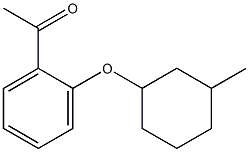 1-{2-[(3-methylcyclohexyl)oxy]phenyl}ethan-1-one Struktur