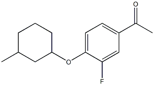 1-{3-fluoro-4-[(3-methylcyclohexyl)oxy]phenyl}ethan-1-one Struktur