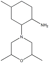 2-(2,6-dimethylmorpholin-4-yl)-4-methylcyclohexanamine Struktur