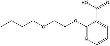 2-(2-butoxyethoxy)pyridine-3-carboxylic acid Struktur