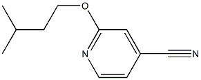 2-(3-methylbutoxy)isonicotinonitrile Struktur