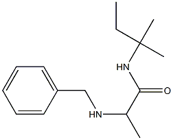 2-(benzylamino)-N-(2-methylbutan-2-yl)propanamide Struktur