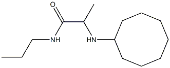 2-(cyclooctylamino)-N-propylpropanamide Struktur