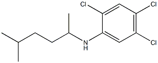 2,4,5-trichloro-N-(5-methylhexan-2-yl)aniline Struktur