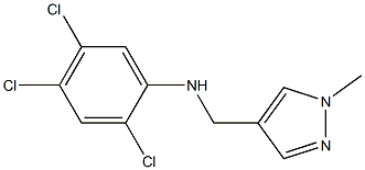 2,4,5-trichloro-N-[(1-methyl-1H-pyrazol-4-yl)methyl]aniline Struktur