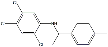 2,4,5-trichloro-N-[1-(4-methylphenyl)ethyl]aniline Struktur