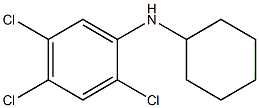 2,4,5-trichloro-N-cyclohexylaniline Struktur