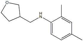 2,4-dimethyl-N-(oxolan-3-ylmethyl)aniline Struktur