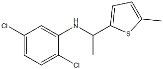 2,5-dichloro-N-[1-(5-methylthiophen-2-yl)ethyl]aniline Struktur