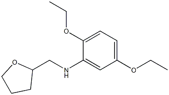 2,5-diethoxy-N-(oxolan-2-ylmethyl)aniline Struktur