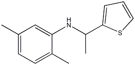 2,5-dimethyl-N-[1-(thiophen-2-yl)ethyl]aniline Struktur