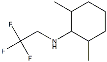 2,6-dimethyl-N-(2,2,2-trifluoroethyl)cyclohexan-1-amine Struktur