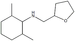 2,6-dimethyl-N-(oxolan-2-ylmethyl)cyclohexan-1-amine Struktur