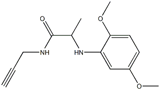 2-[(2,5-dimethoxyphenyl)amino]-N-(prop-2-yn-1-yl)propanamide Struktur