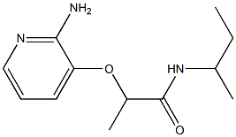 2-[(2-aminopyridin-3-yl)oxy]-N-(butan-2-yl)propanamide Struktur