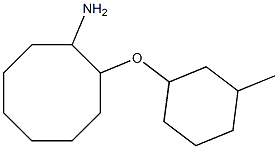 2-[(3-methylcyclohexyl)oxy]cyclooctan-1-amine Struktur