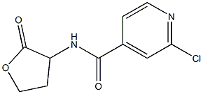 2-chloro-N-(2-oxooxolan-3-yl)pyridine-4-carboxamide Struktur