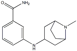 3-({8-methyl-8-azabicyclo[3.2.1]octan-3-yl}amino)benzamide Struktur